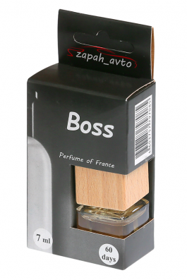 Ароматизатор Boss (Hugo Boss the Bottled Sport man) - парфюмированный свежий пряный аромат