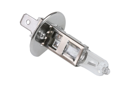 Лампа галогеновая 12В Xenite Standard H1 (P14.5s)